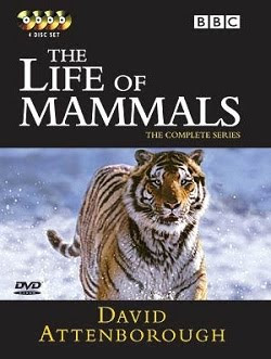 The Life of Mammals - DVD