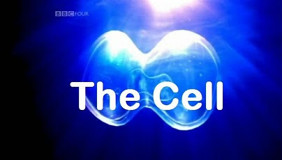BBC The.Cell 3-dvd