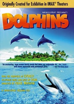 DOLPHINS - HD