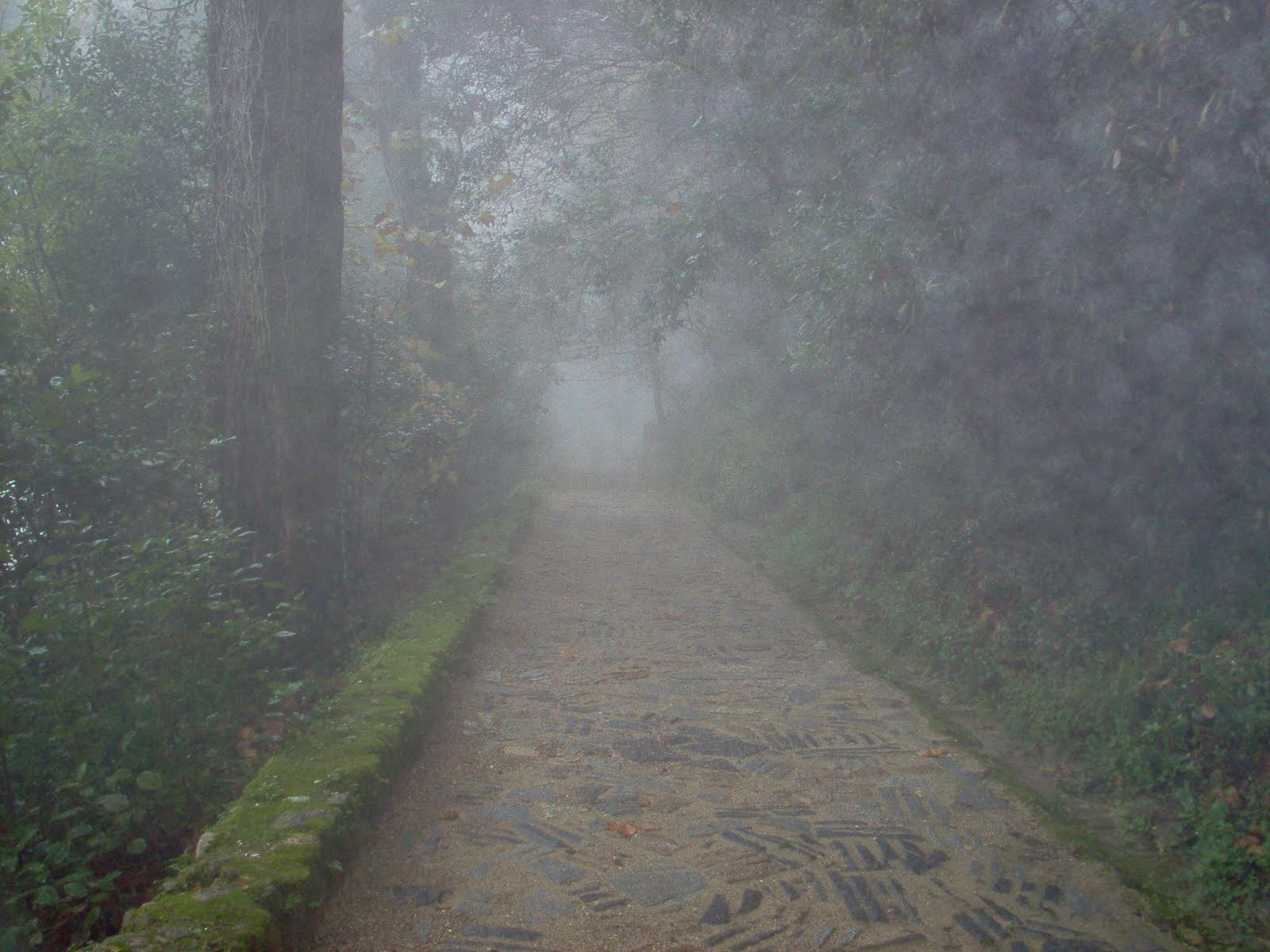 [Sintra+081.jpg]