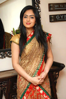 Actress Nikesha Patel in saree wallpapers