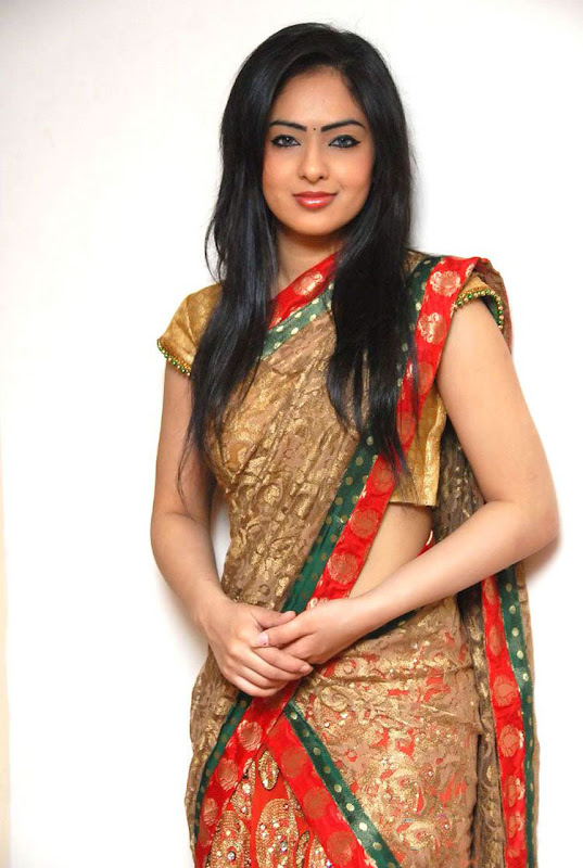 Actress Nikesha Patel in saree unseen pics