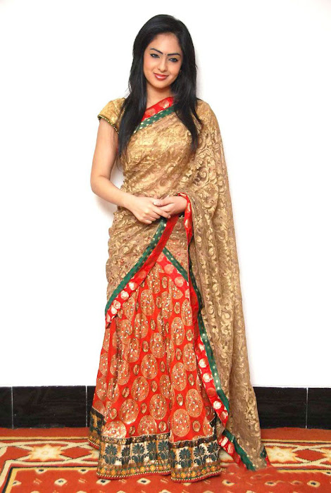 kp actre nikesha patel in traditional dress actress pics