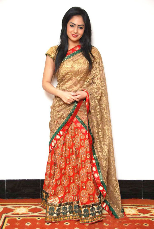 Actress Nikesha Patel in saree Photoshoot images