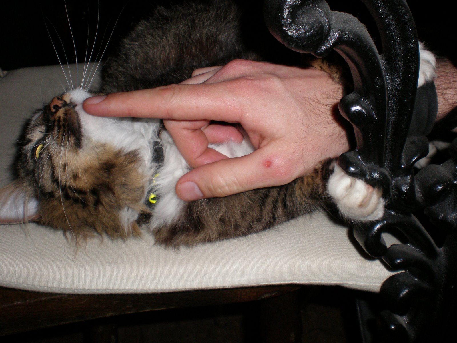 [P4100676.JPG]