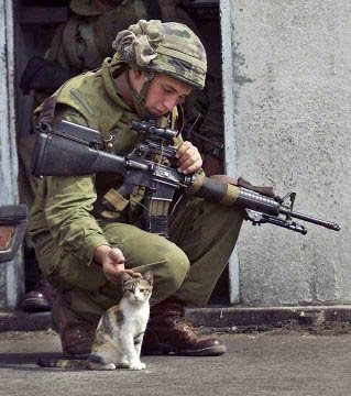Soldier with cat