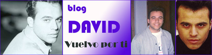 David- Vuelvo por ti