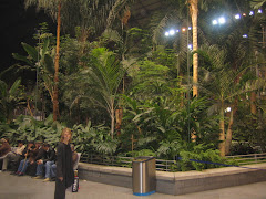 The rainforest INSIDE the main train station at Atocha Renfe