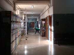 The Faculty building