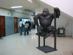The strange gorilla at college