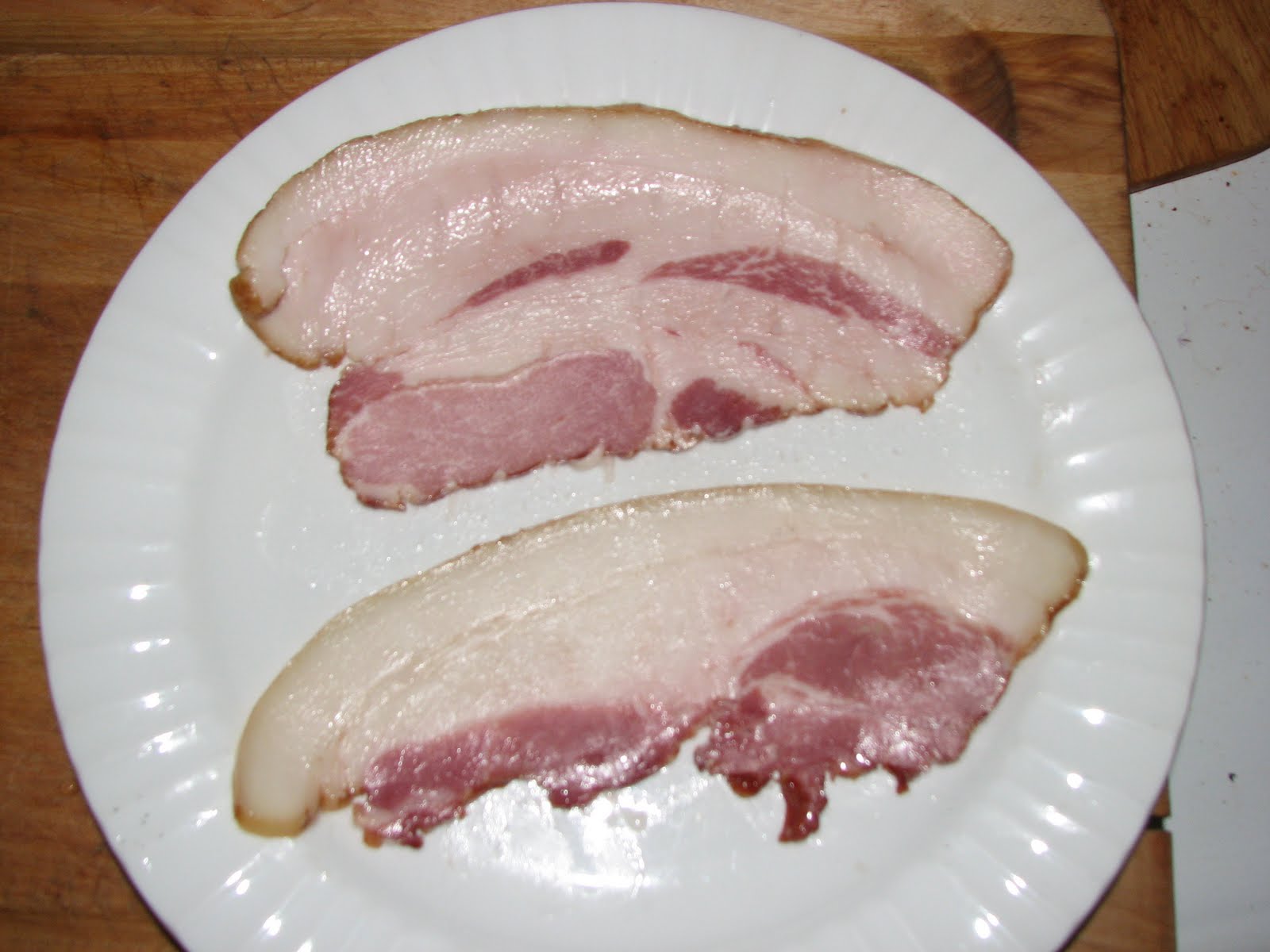 Wooly Pigs November 2009