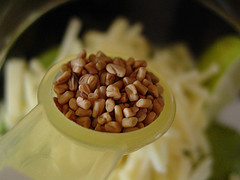 [221407836_31d3608368_m.jpg]