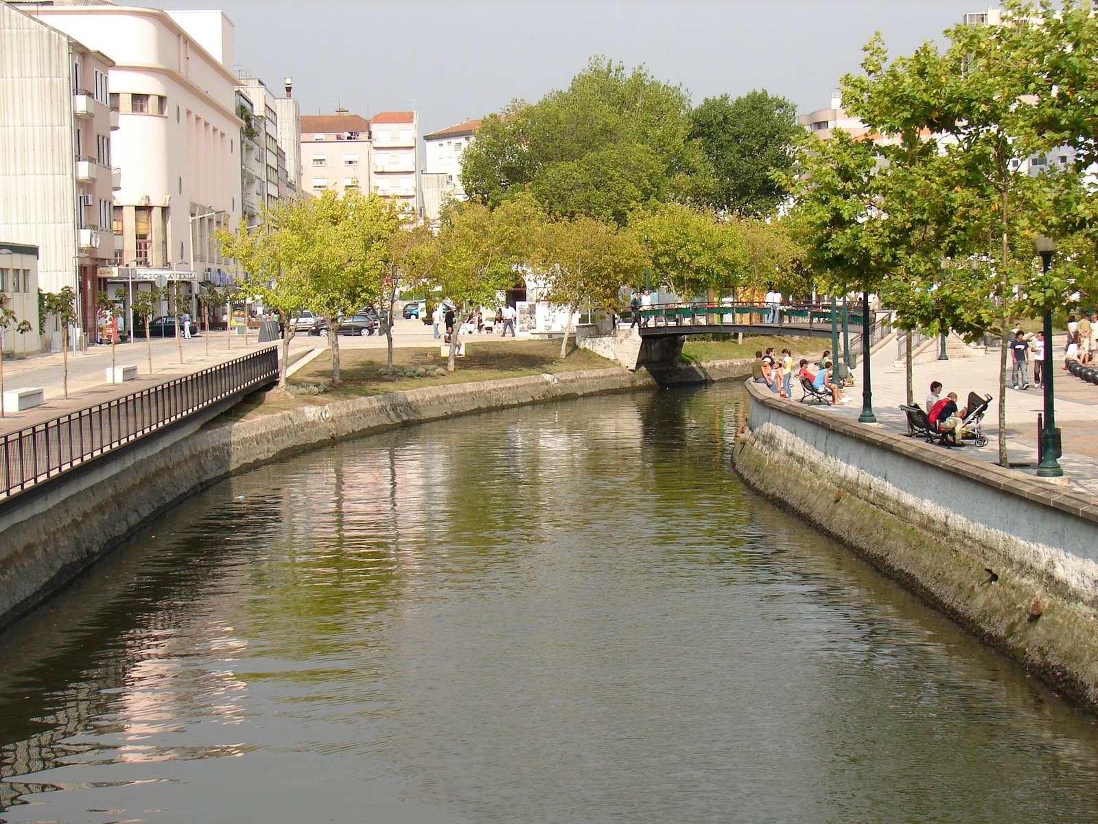 [DSC00786.JPG]