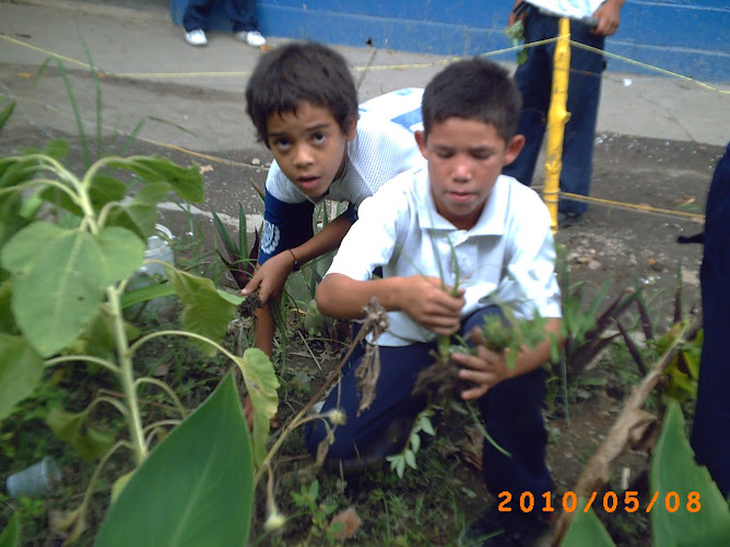 Rusbert y José limpiando el huerto