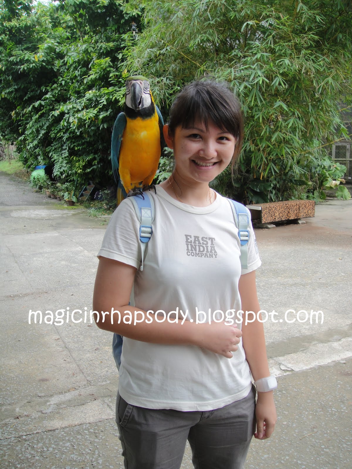 [DSC00970.JPG]