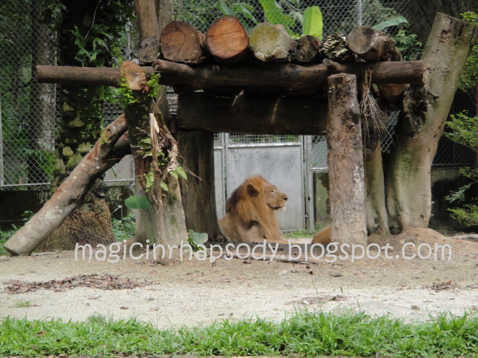[DSC00965.JPG]