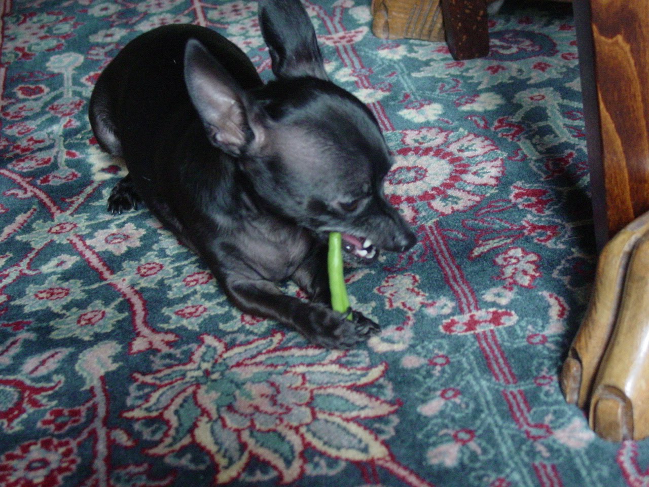 [DSC05171.JPG]