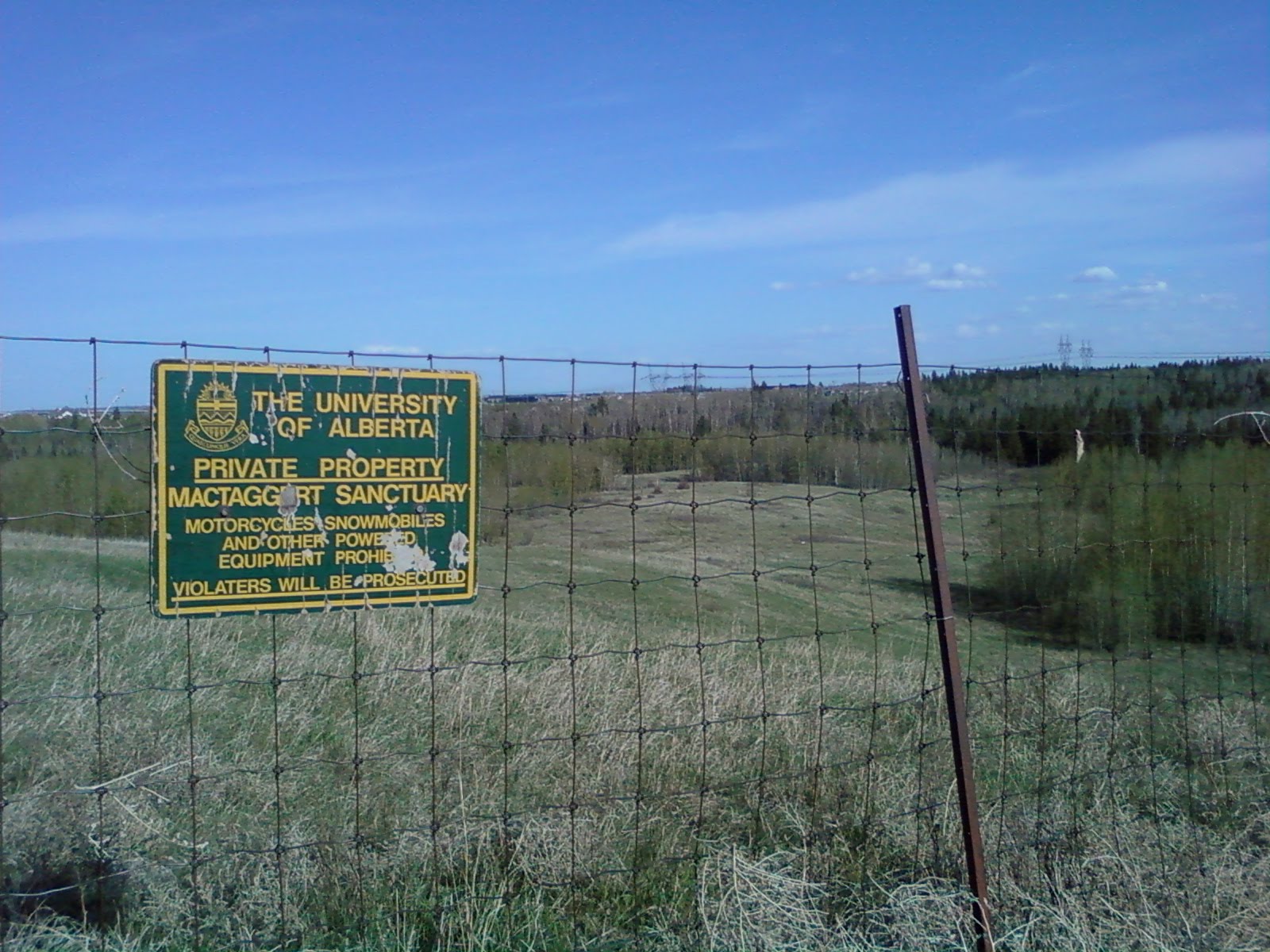 Alberta Found MacTaggart Sanctuary