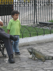 Run! Run Small Child From the Iguana! It will Eat You!