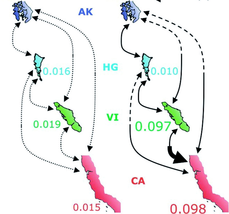 Gene Flow Examples