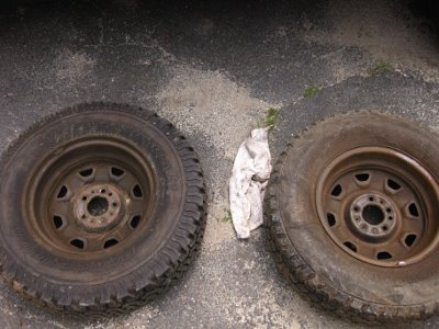 [Rims-Rough.JPG]