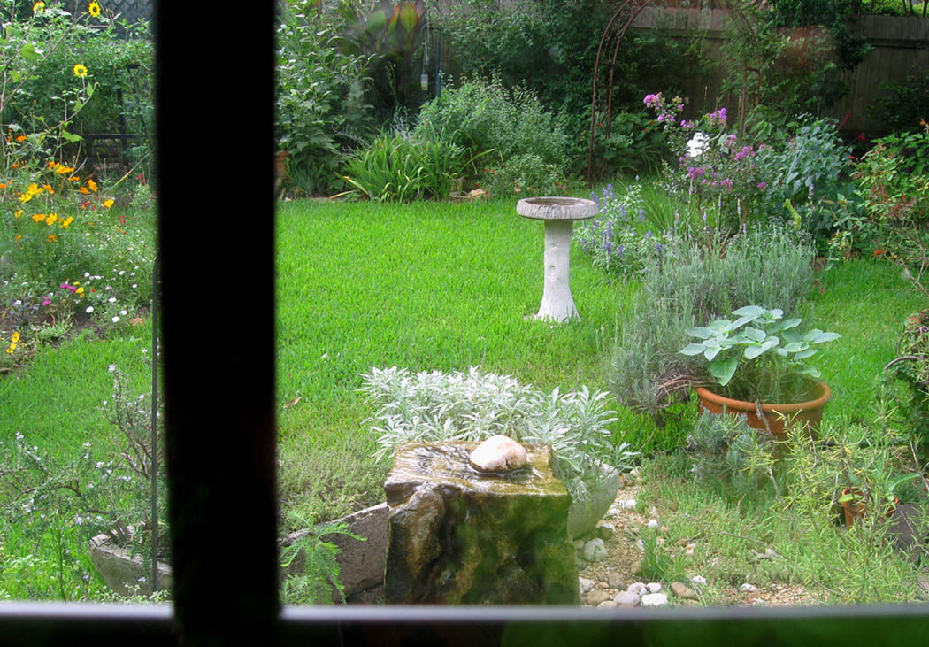Garden Through Window