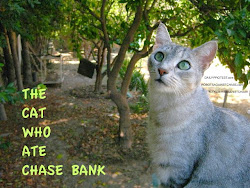 THE CAT WHO ATE CHASE BANK BOOK is coming, the blog is already here.