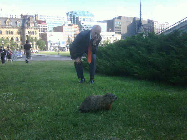 [6+laytongroundhog.jpg]