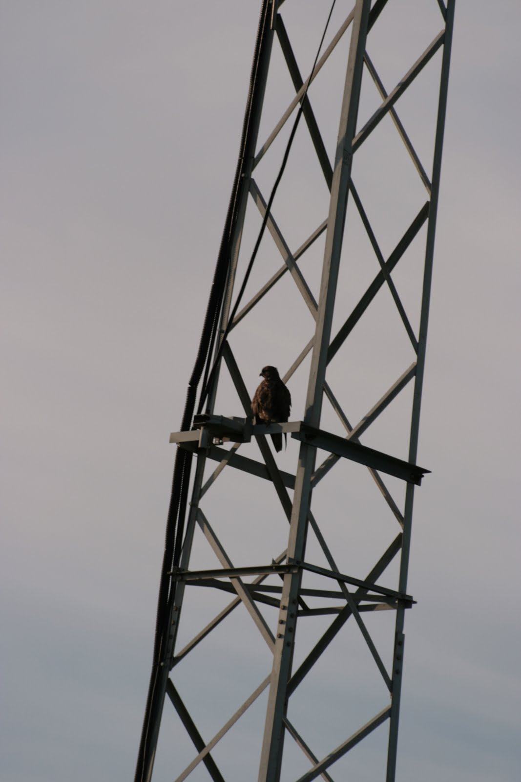 [IMG_2529a_DQ_3139.JPG]