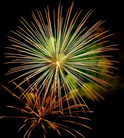 [fireworks.JPG]