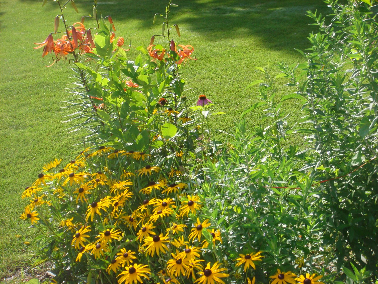 [Fort+Dodge+004.JPG]