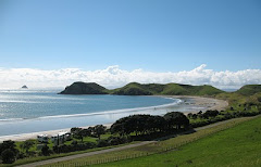 Motorhome Camping in NZ