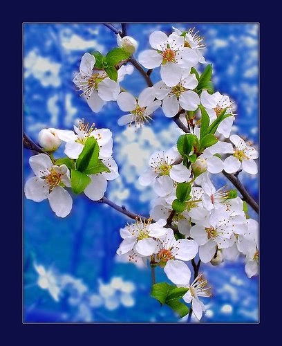 Desirable Morning World..!!