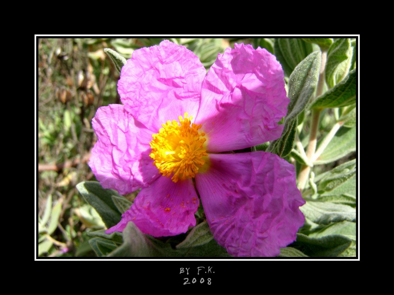 [Belezas+da+Serra.JPG]