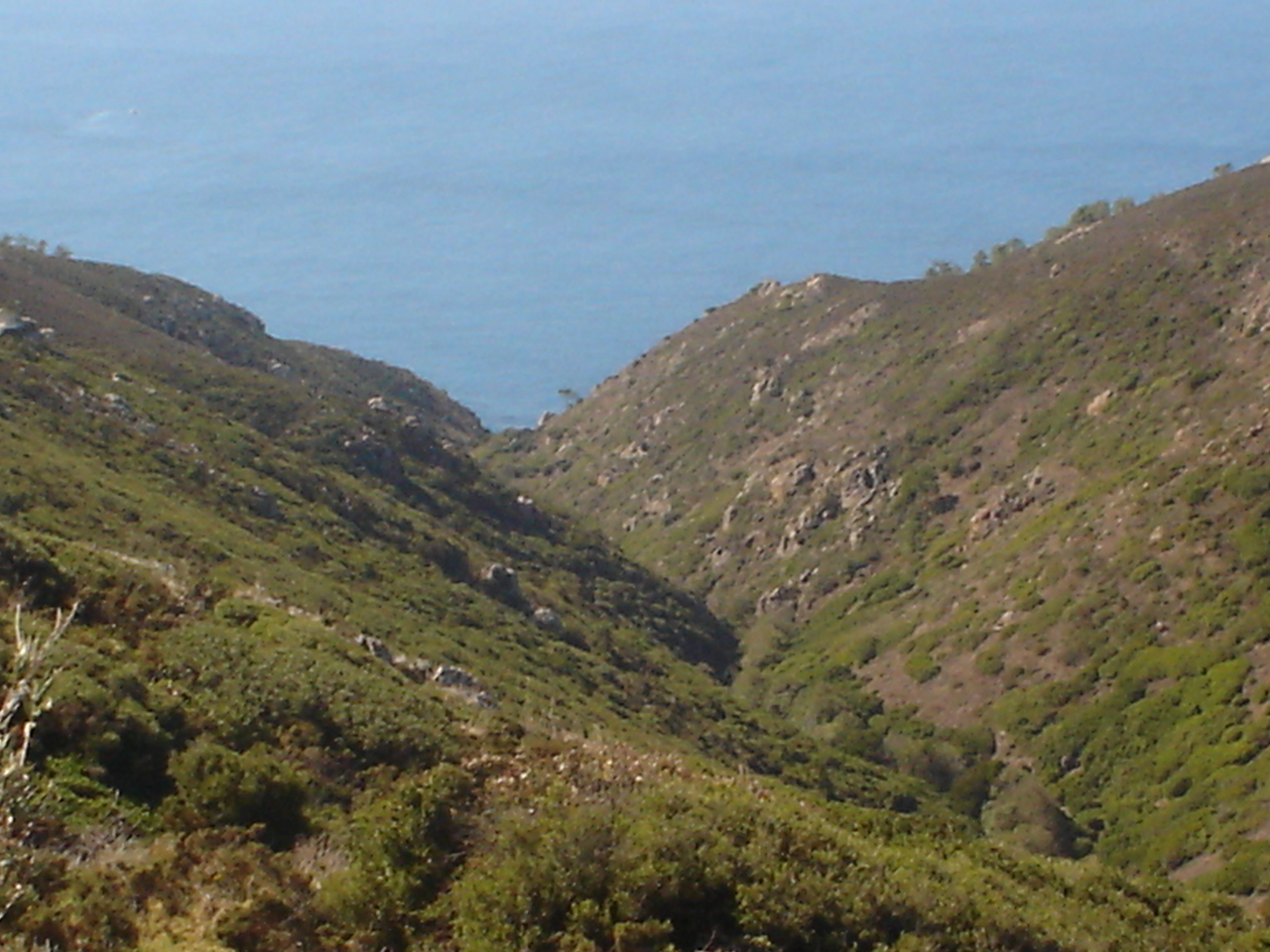 [DSC02687.JPG]