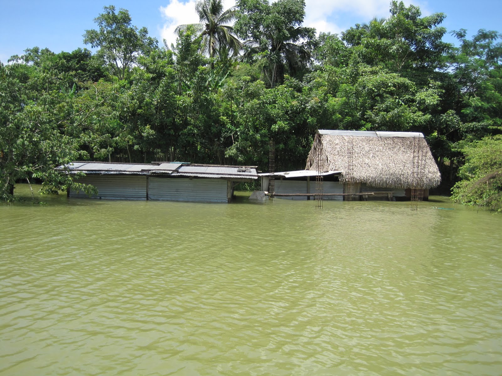 Sobre medio ambiente, politica y literatura en un México que se nos