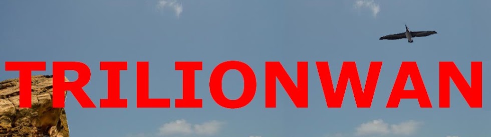 TRILIONWAN
