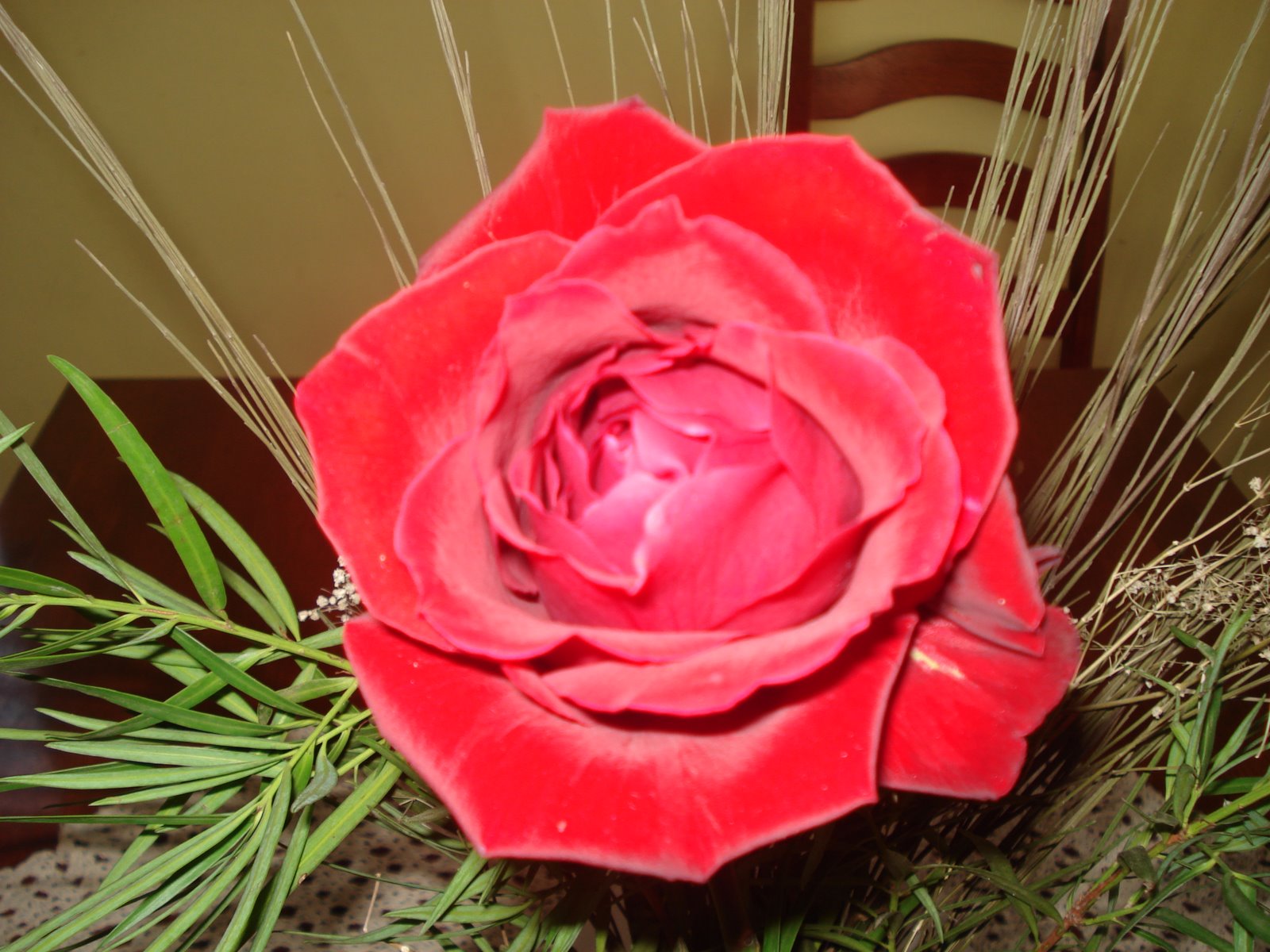 [DSC02434.JPG]