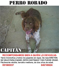 SOS. ROBADO BRETON EN GUAREÑA (BADAJOZ)