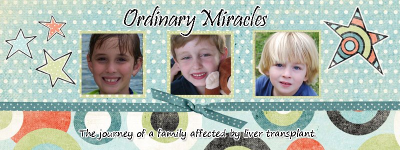 Ordinary Miracles