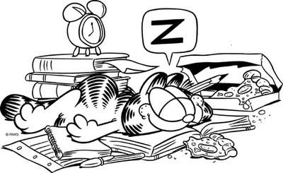 [garfield3.png]