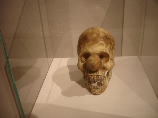 [DSC09199.JPG]