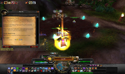 Level 80 Hunter
