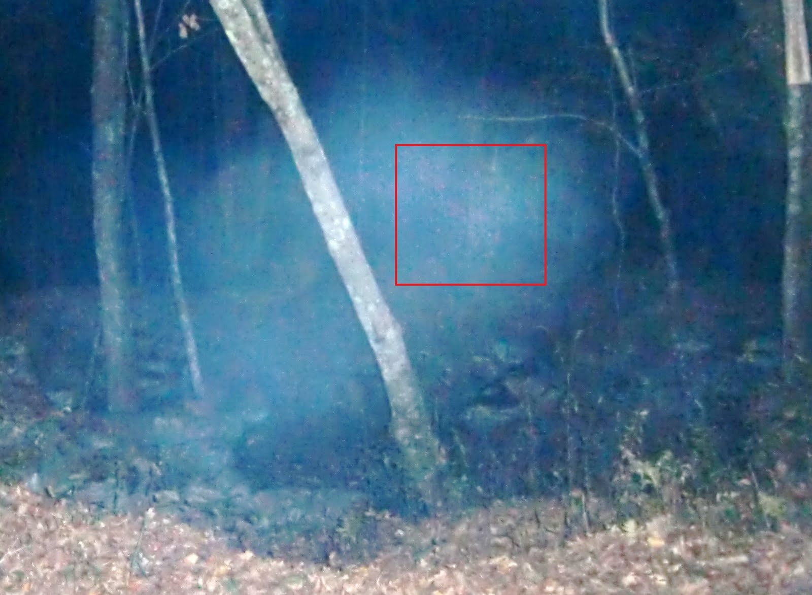 Southern Ct Paranormal Society Maude's grave, Voluntown CT 10/10/10