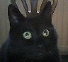 Muhammad, on webcam