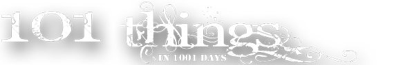 101 things in 1001 days