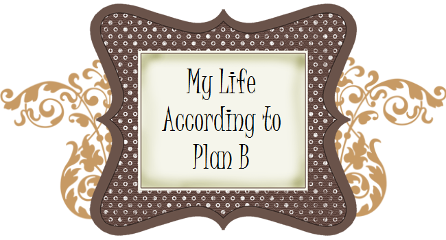 My Life According to Plan B