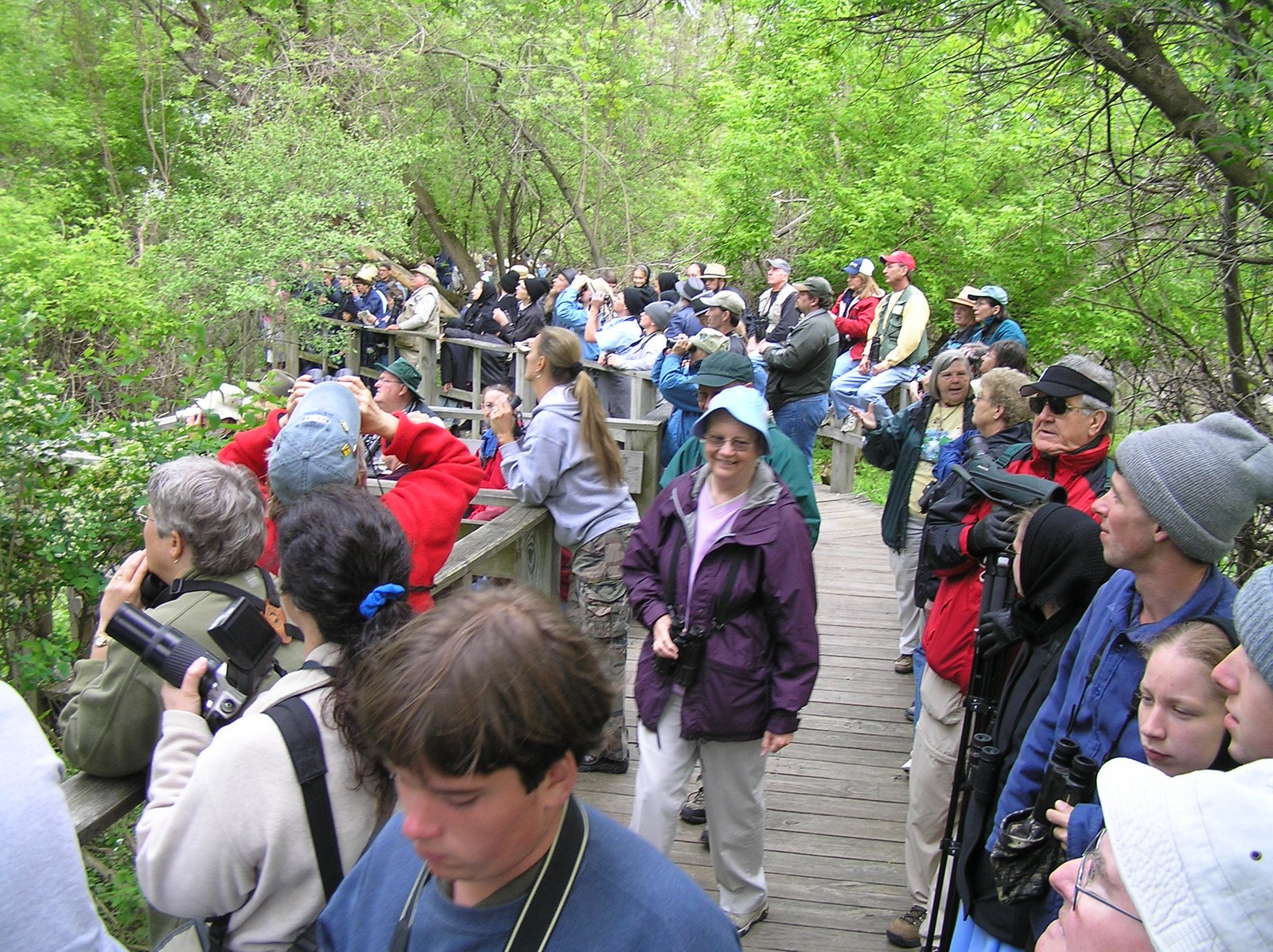 [boardwalk51207.JPG]