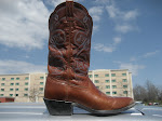 Shiny Boots