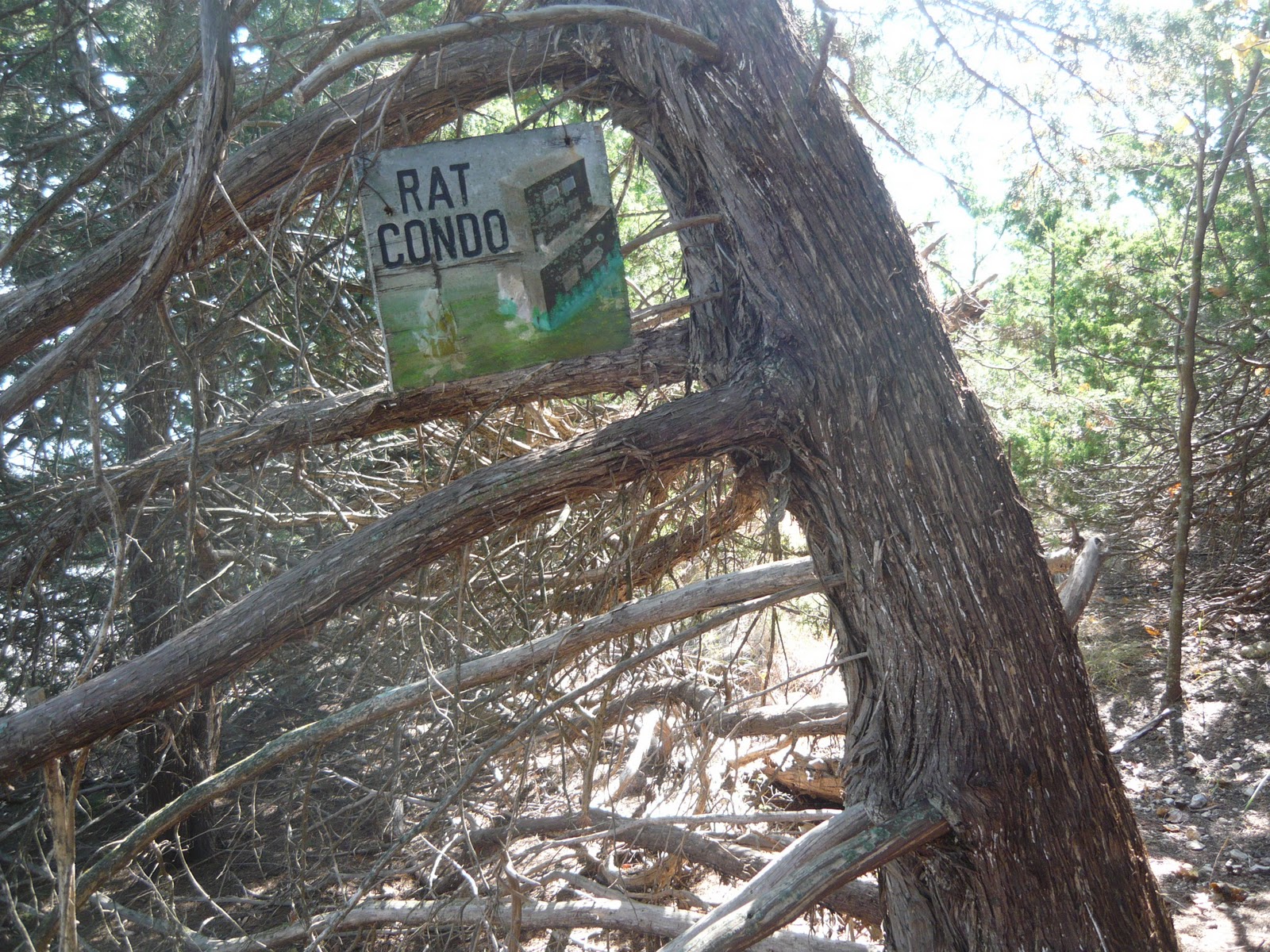 Hiking Trails of the Great Plains Carnahan Cove Trail, Tuttle Creek